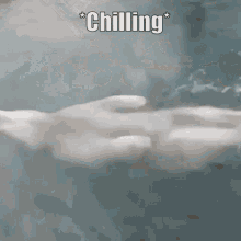 Polar Bear Chilling GIF - Polar Bear Chilling Relax GIFs