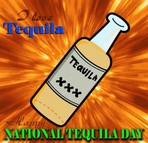 National Tequila Day,Happy National Tequila Day,gif,animated gif,gifs,m...