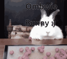 Ombwie Bunny GIF - Ombwie Bunny GIFs