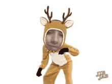 Dance Reindeer GIF - Dance Reindeer GIFs