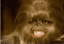 star wars smiling happy hairy