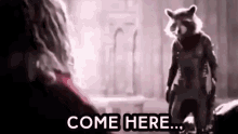 rocket avengers raccoon come here say it