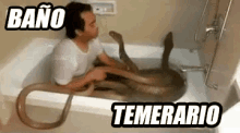 temerario serpientes