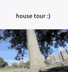House Tour Tree GIF - House Tour Tree Squirrel GIFs
