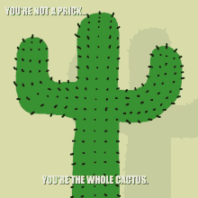 Cactus Prick GIF - Cactus Prick GIFs