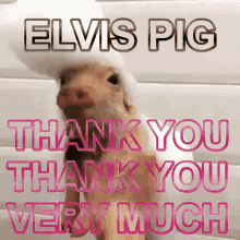 Happy Pig Thank You GIF - Happy Pig Thank You Thank You Very Much GIFs