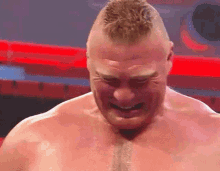 Brock Lesnar Wwe GIF - Brock Lesnar Wwe Wrestler GIFs