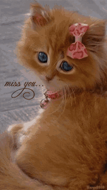 Miss You Kitten GIF - Miss You Kitten Cat GIFs