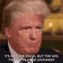 Wig Fly GIF - Wig Fly Trump GIFs