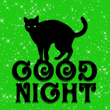 Good Night Black Cat GIF - Good Night Black Cat Green GIFs