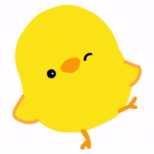 bird cute animal yellow happy