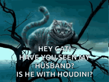 Hey Cat Have You Seen My Husband Cheshire Cat GIF - Hey Cat Have You Seen My Husband Cheshire Cat Disparition GIFs