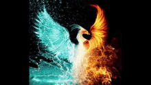 phoenix fire phoenix fire