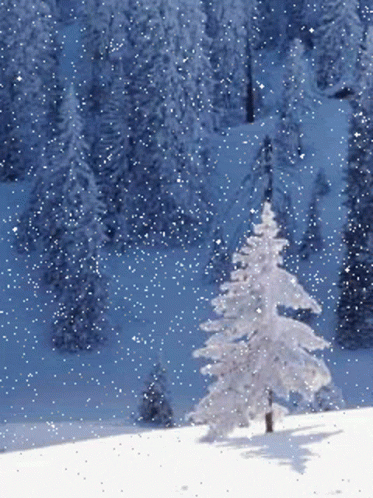 Snow Falling Animated GIFs | Tenor