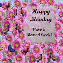 Happy Monday Butterfly GIF - Happy Monday Butterfly Flower GIFs