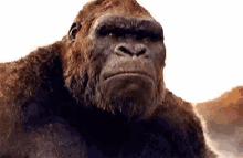Roar King Kong GIF - Roar King Kong Gorilla GIFs