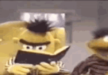 What Does It Mean Sesame Street GIF - What Does It Mean Sesame Street Bert GIFs