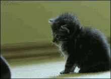 nose poweroff
