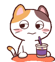 Meong Cat Sticker - Meong Cat Drink Stickers