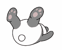panda