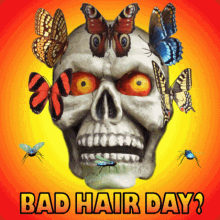 Bad Hair Day Bad Haircut GIF - Bad Hair Day Bad Haircut Messy Hair GIFs