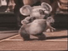Koala Dance GIF - Koala Dance Wiggle GIFs
