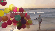 Im As Free As Birds Catching The Wind Gifkaro GIF - Im As Free As Birds Catching The Wind Gifkaro Quotes GIFs