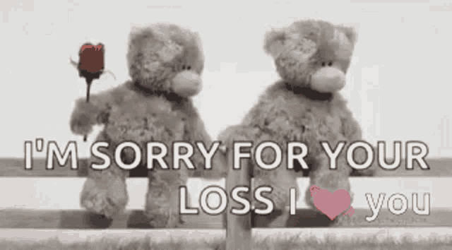 Im Sorry For Your Loss I Love You Gif Im Sorry For Your Loss I Love You Discover Share Gifs
