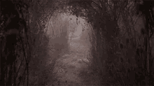 Forest Night GIF - Forest Night Horror GIFs