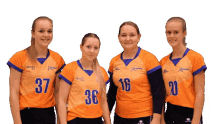 holyoke belfeld volleybal volleyball dames1
