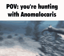 anomalocaris hunting pov trilobyte meme