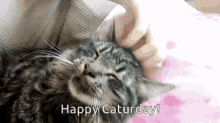 Happy Caturday GIF - Happy Caturday Cat GIFs