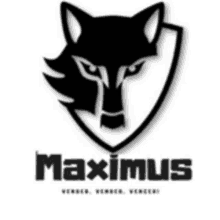 Maximus Team GIF - Maximus Team GIFs