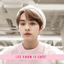 Lee Know Is Cute Lee Know Cute GIF - Lee Know Is Cute Lee Know Cute Lee Know Cat GIFs
