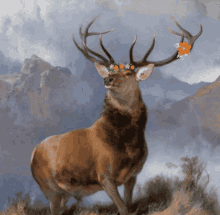Monarch Of The Glen Deer GIF - Monarch Of The Glen Deer Scotland GIFs