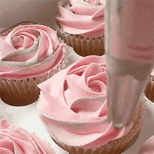 Cupcakes Icing GIF - Cupcakes Cupcake Icing GIFs
