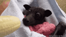 Bat Cute GIF - Bat Cute Bat Banana GIFs