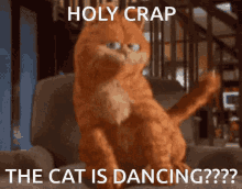 funny cat garfield silly dancing
