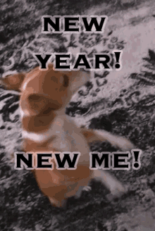 Happy New Year Dance Happy New Year2019funny GIF - Happy New Year Dance Happy New Year2019funny New Year New Me GIFs