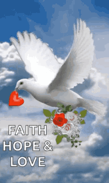 faith hope love bird fly