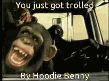 Hoodiebenny Troll GIF - Hoodiebenny Troll Monkeys GIFs