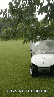 Golf Cart Slide GIF - Golf Cart Slide Cool GIFs