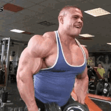 Muscle Alexey GIF - Muscle Alexey GIFs