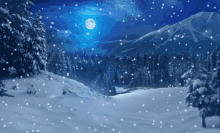 snegopad winter snegopad winter