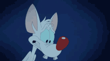 animaniacs pinky and the brain yeet get out get out of here
