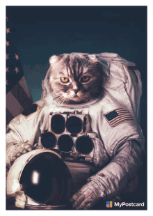 Cat In Space Space Cat GIF - Cat In Space Space Cat Space Cats GIFs