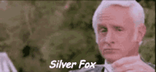 Silverfox GIF - Silver Fox Gray Hair GIFs