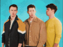 Jonas Brothers Nick Jonas GIF - Jonas Brothers Nick Jonas Joe Jonas GIFs