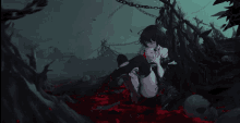seele honkai impact