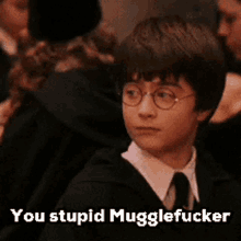 Muggle Harry Potter GIF - Muggle Harry Potter GIFs